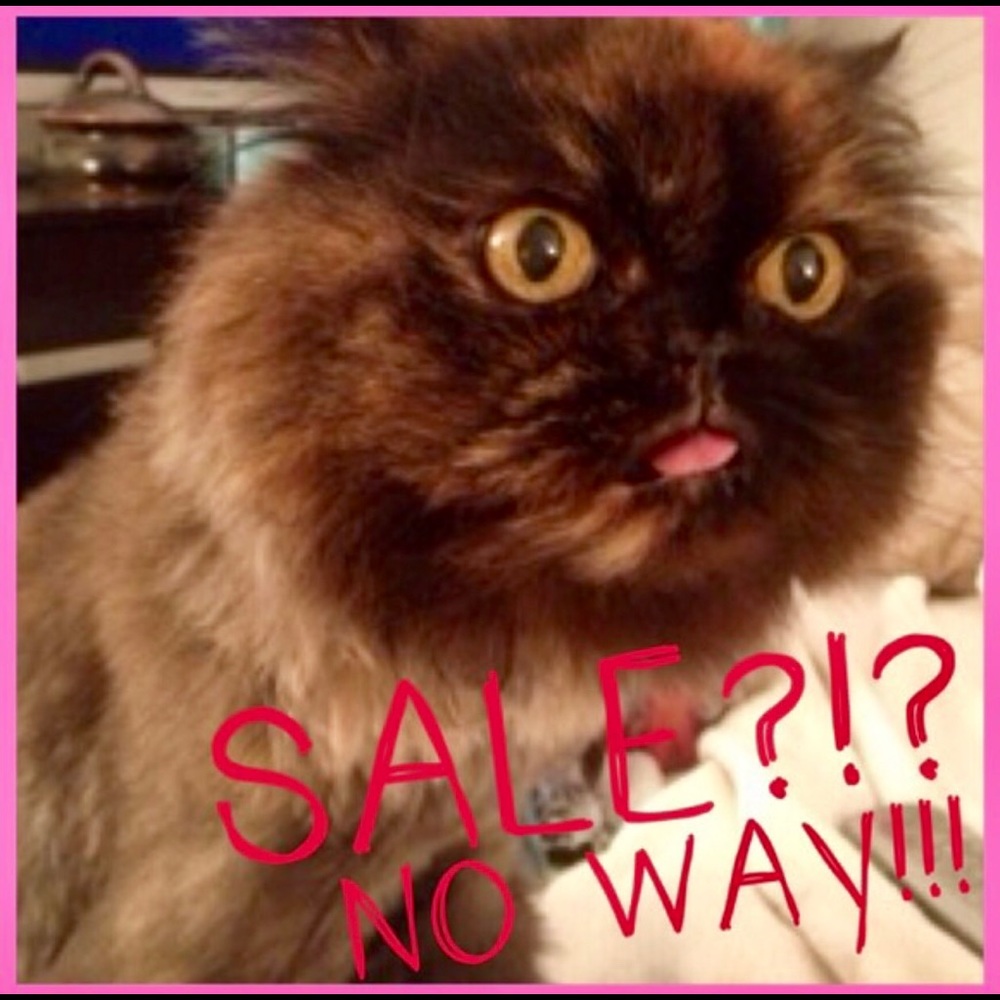 TODAY ONLY SEMI-ANUAL SALE! - Picture 3 of 6